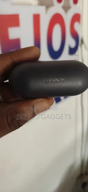 Sony WF-C500 Wireless Earbuds