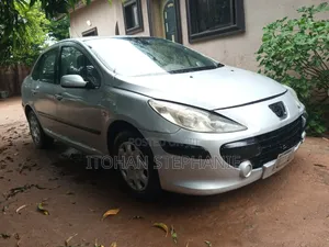 Peugeot 307 X-Line 1.6 2010 Silver