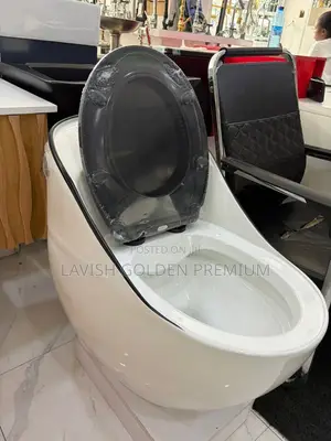 Black and White One-Piece Egg Shaped Water Closet