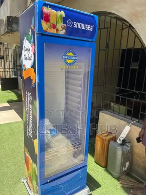 Snowsea 400L Retail Display Chiller