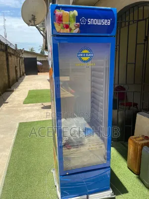 Snowsea 400L Drinks Cooler for Shops