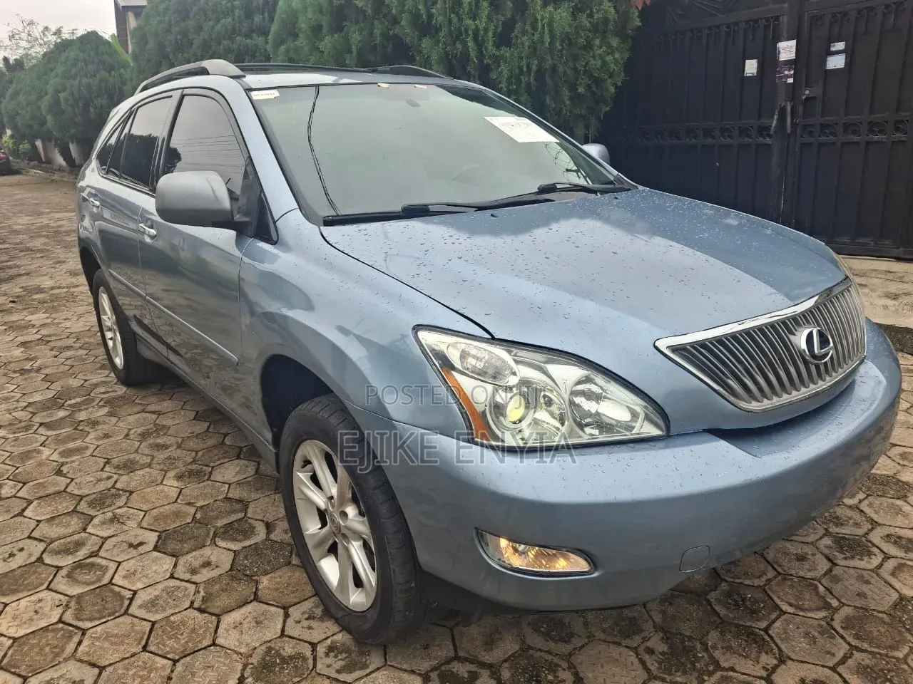 Lexus RX 2009 Blue