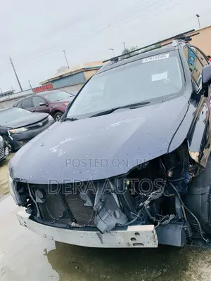 Lexus RX 2010 Blue