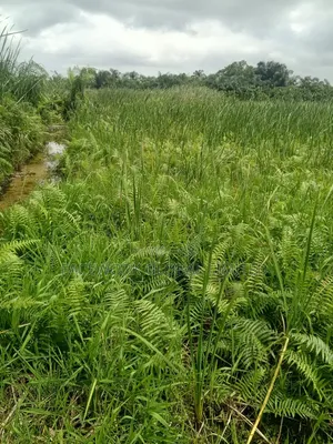 7 Plots Available