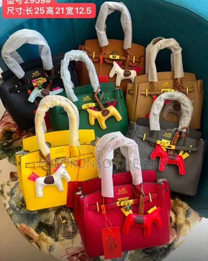 Hermes Bag