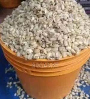 Ukwa (Breadfruit)