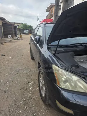 Lexus RX 350 2008 Gray