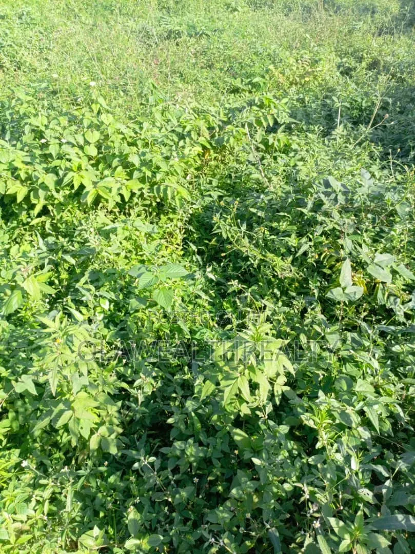 800sqm Residential Plot at Maitama Main