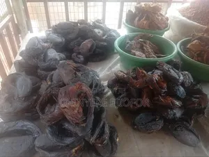 Maiduguri Dry Catfish in Different Sizes