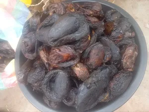 Maiduguri Dry Catfish in Different Sizes