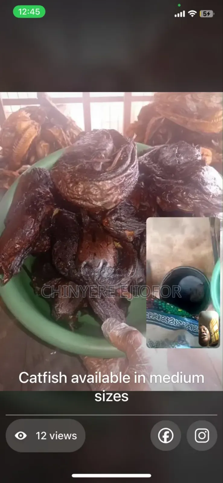 Maiduguri Dry Catfish in Different Sizes