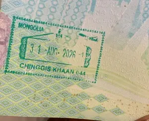 💯% Sure Mongolia 3months Tourist Visa