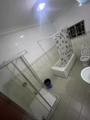 Professional Bathroom Washing and Stain Removal
