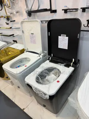 Smart Sensor Water Closet With Remote Control