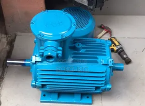 Flameproof AC Electric Motor