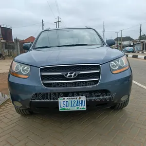 Hyundai Santa Fe 2009 Green