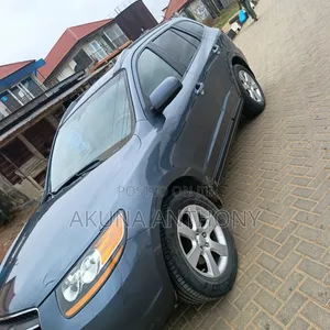 Hyundai Santa Fe 2009 Green