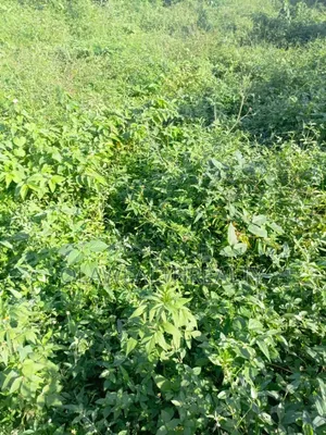 697sqm Residential Land at Katampe Main