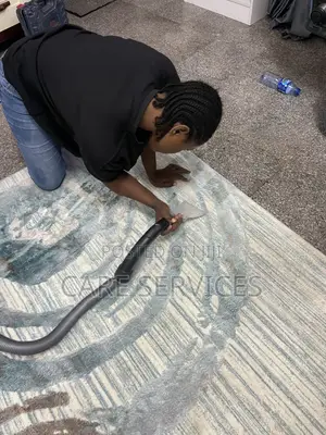 Best Before/After Carpet and Rugs Cleaners in Lagos