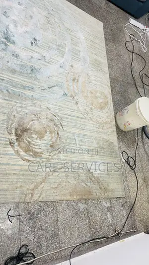 Best Before/After Carpet and Rugs Cleaners in Lagos