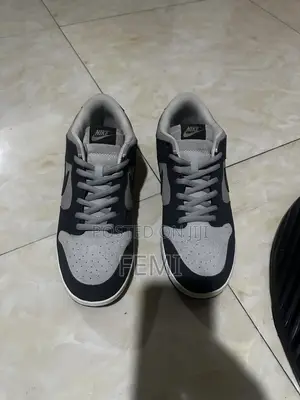 Nike Dunk Sneakers