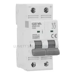 Geya 100A Miniature DC Circuit Breaker GYM9-125DC-100