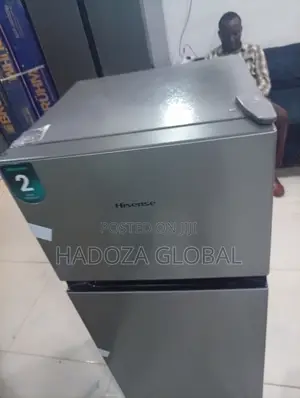 Hisense REF 172DR 124 Litres Silver Double Door Fridge