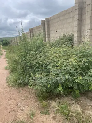 Genuine Plots of Land Available for Sale at ASABA