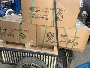 Ecolion 5kwh Lithium Battery 24V