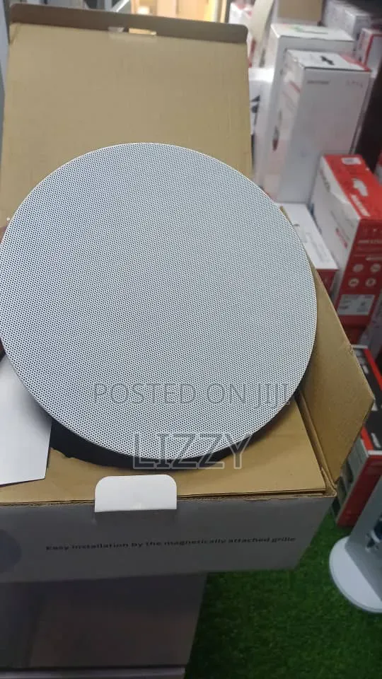 Three Way Ceiling Speaker