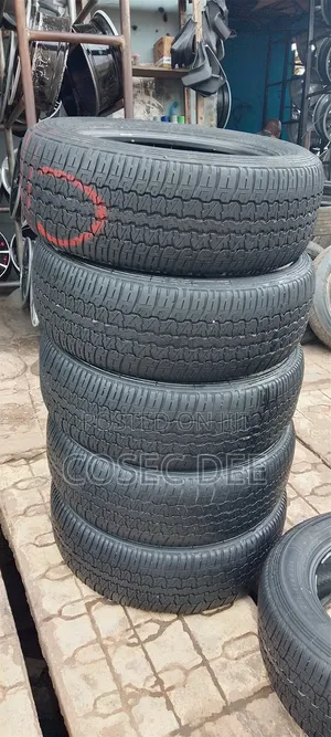 265/55 R19 Tokobo Tyre