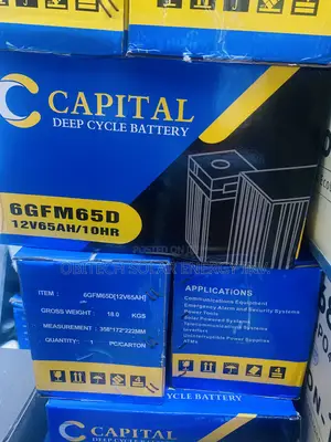 65AH 12v Capacity Deep Cycle Battery