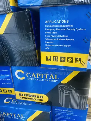 65AH 12v Capacity Deep Cycle Battery