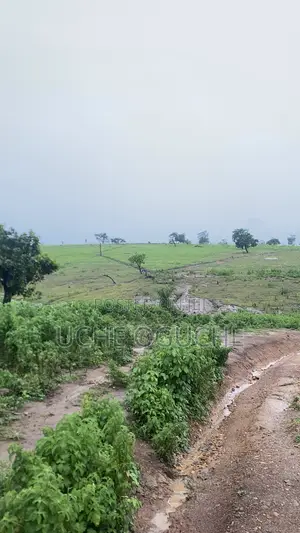 Fcda C of O Land
