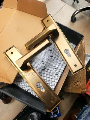 Gold Handle for Room and Front Doors