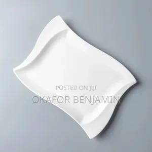 Quality Ceramic Luxury Rectangle 10inchs Dinner Plate 30pcs