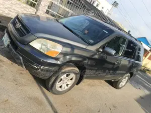 Honda Pilot 2004 Gray