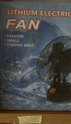 Lithium Electric Fan