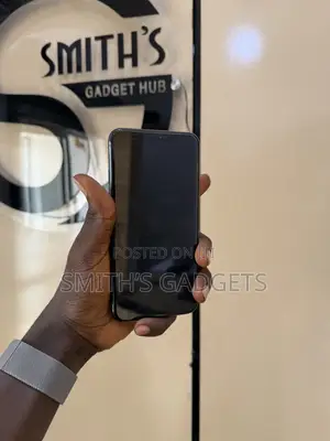 Apple iPhone 11 Pro Max 256 GB Gray