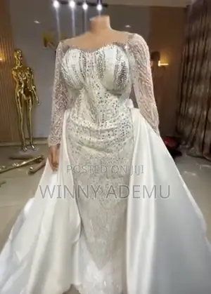 Never Worn Elegant Wedding Dress Including Veil and Train