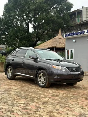 Lexus RX 2010 Gray