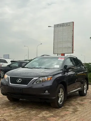 Lexus RX 2010 Gray