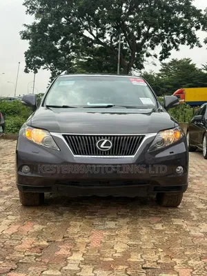 Lexus RX 2010 Gray