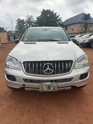 Mercedes-Benz M Class 2010 Silver