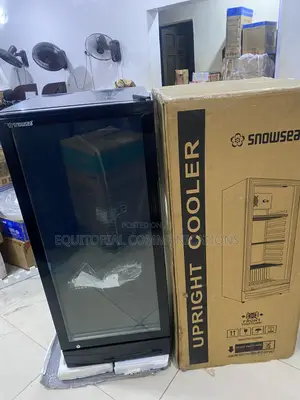 Snowsea LC-270W Large-Capacity Commercial Cooler