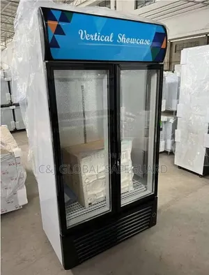 Double Door Standing Freezers