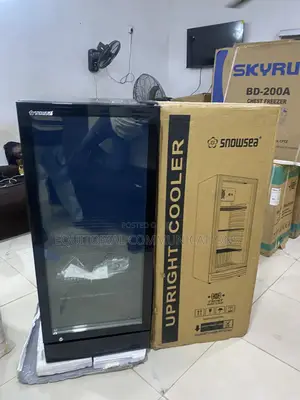 Snowsea 270L Beverage Display Refrigerator for Supermarkets and Conven