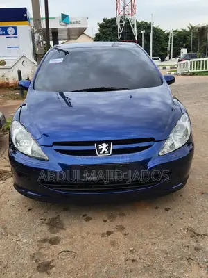 Peugeot 307 2007 Blue