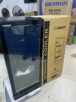 Snowsea 270L Upright Beverage Cooling Refrigerator for Commercial Reta
