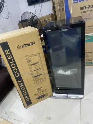 Snowsea LC-270W Large-Volume Chiller